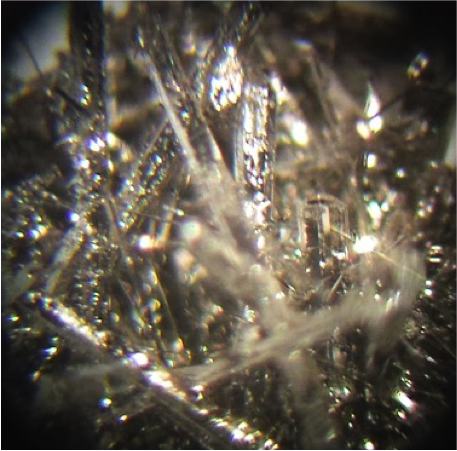 Condensed Matter Group